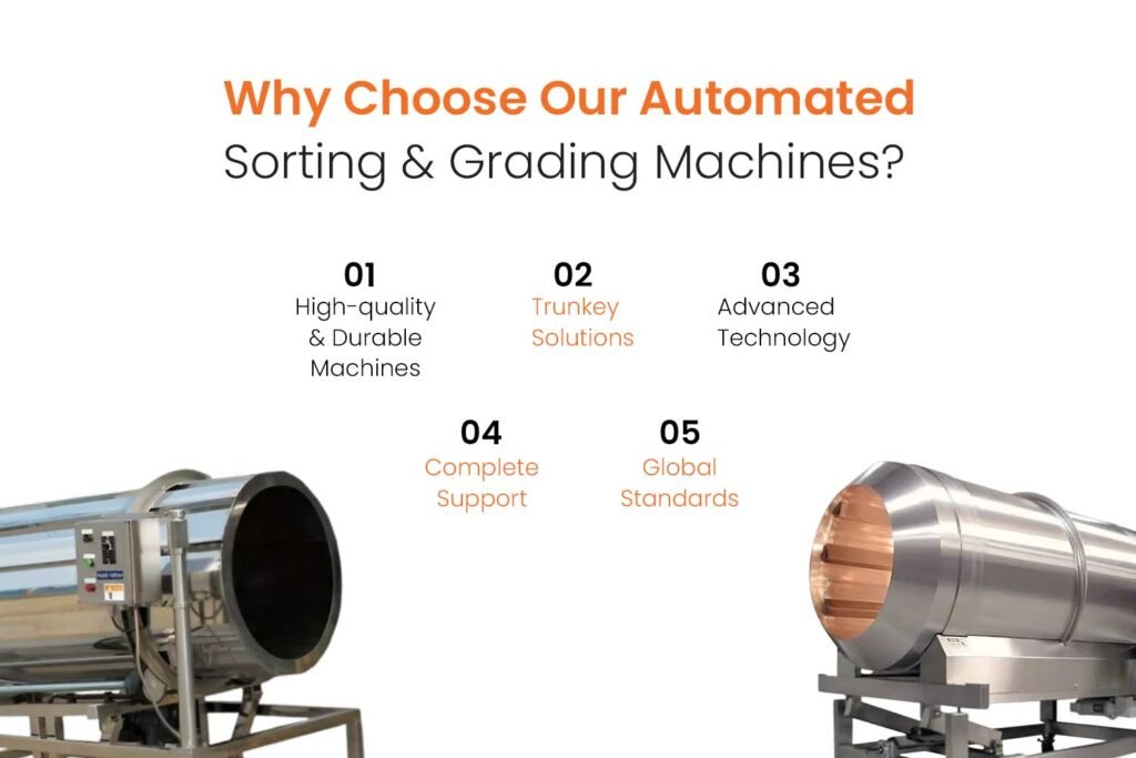 Optimizing Makhana Production: The Role of Automated Sorting & Grading Machines