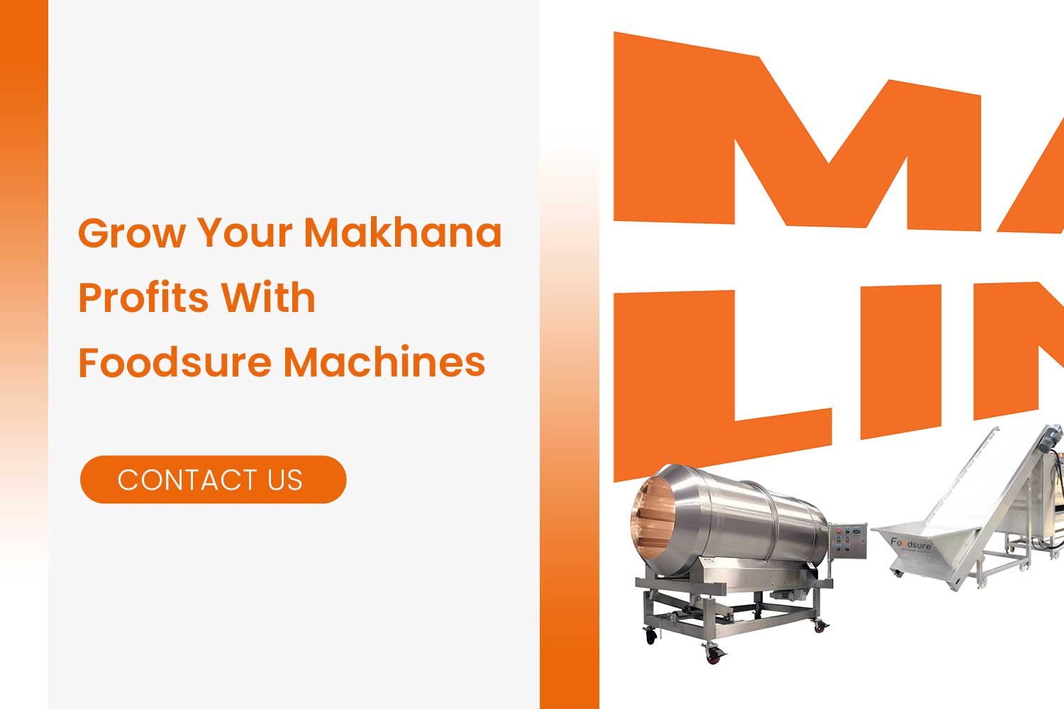 Grow Your Makhana Profits With Foodsure Machines