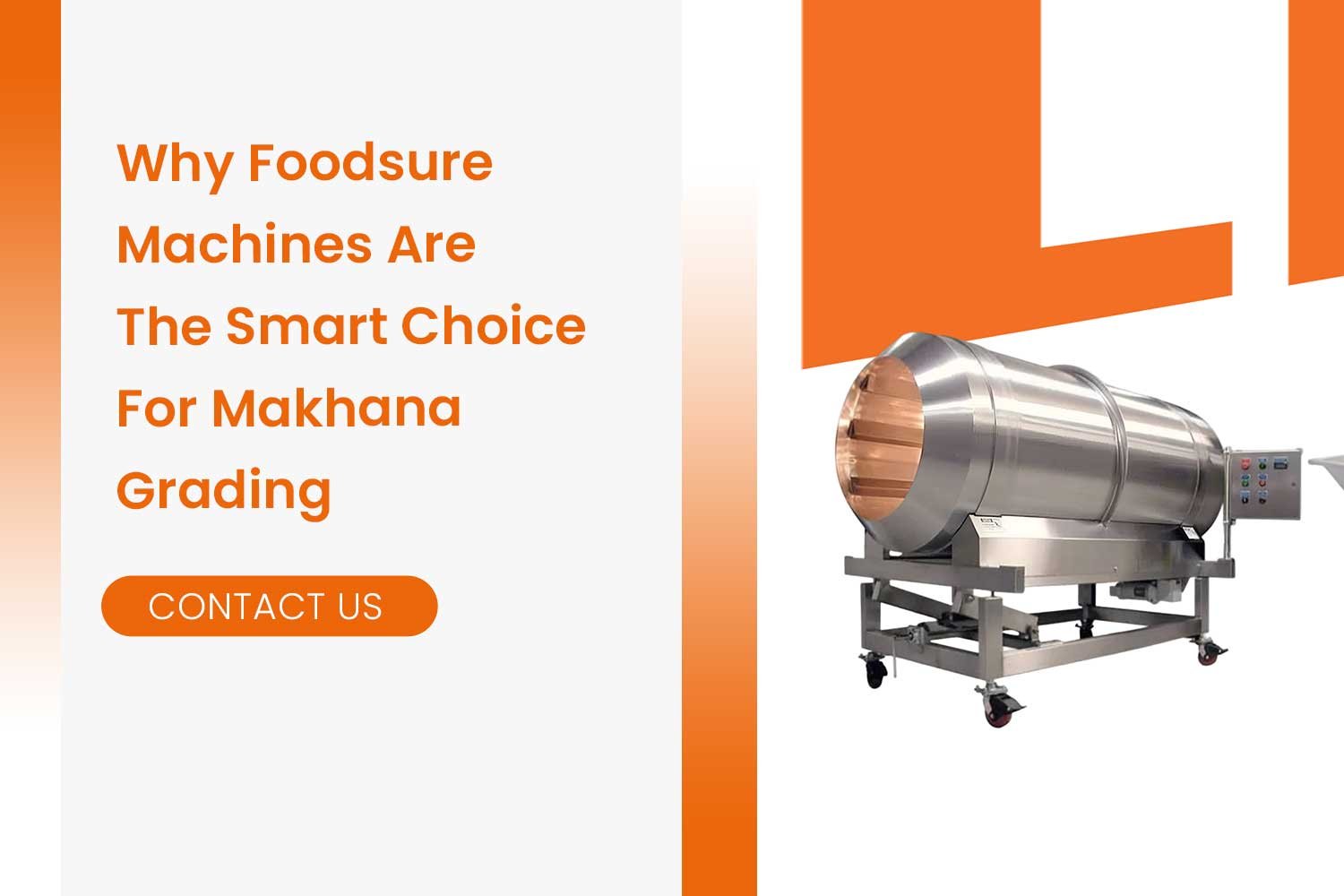 Why Foodsure Machines Are The Smart Choice For Makhana Grading