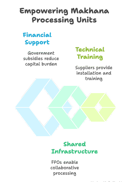 Best Makhana Machine for Rural Entrepreneurs