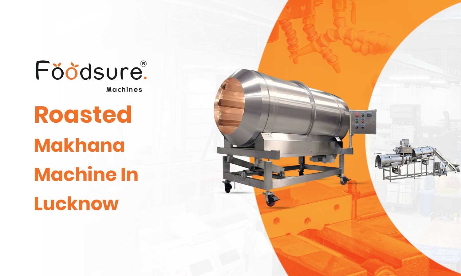 Roasted Makhana Machine In Lucknow – Cost & Manufacturing Support