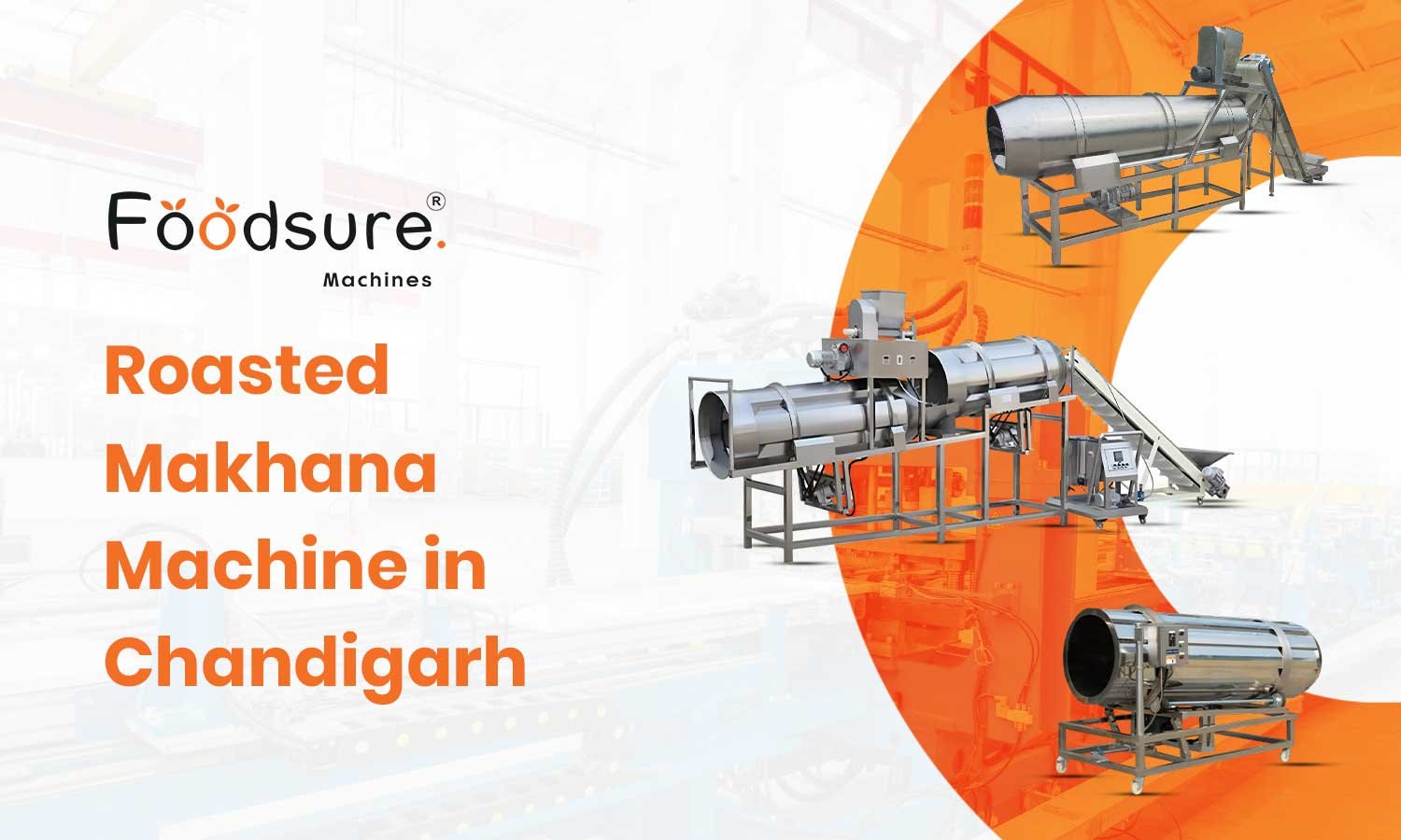 Roasted Makhana Machine in Chandigarh – Complete Plant Setup