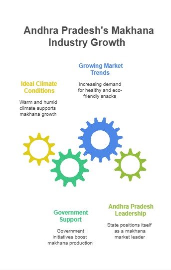 Top Makhana Machine Companies in Andhra Pradesh