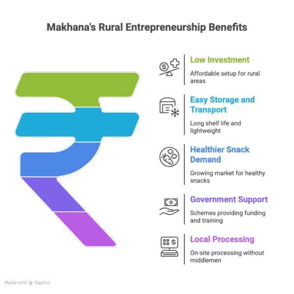 Best Makhana Machine for Rural Entrepreneurs