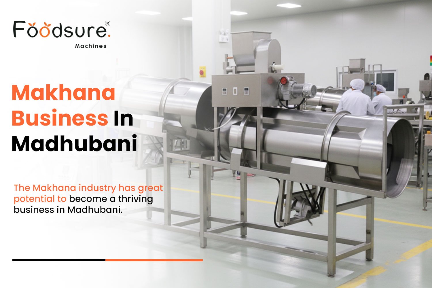 Makhana Business in Madhubani