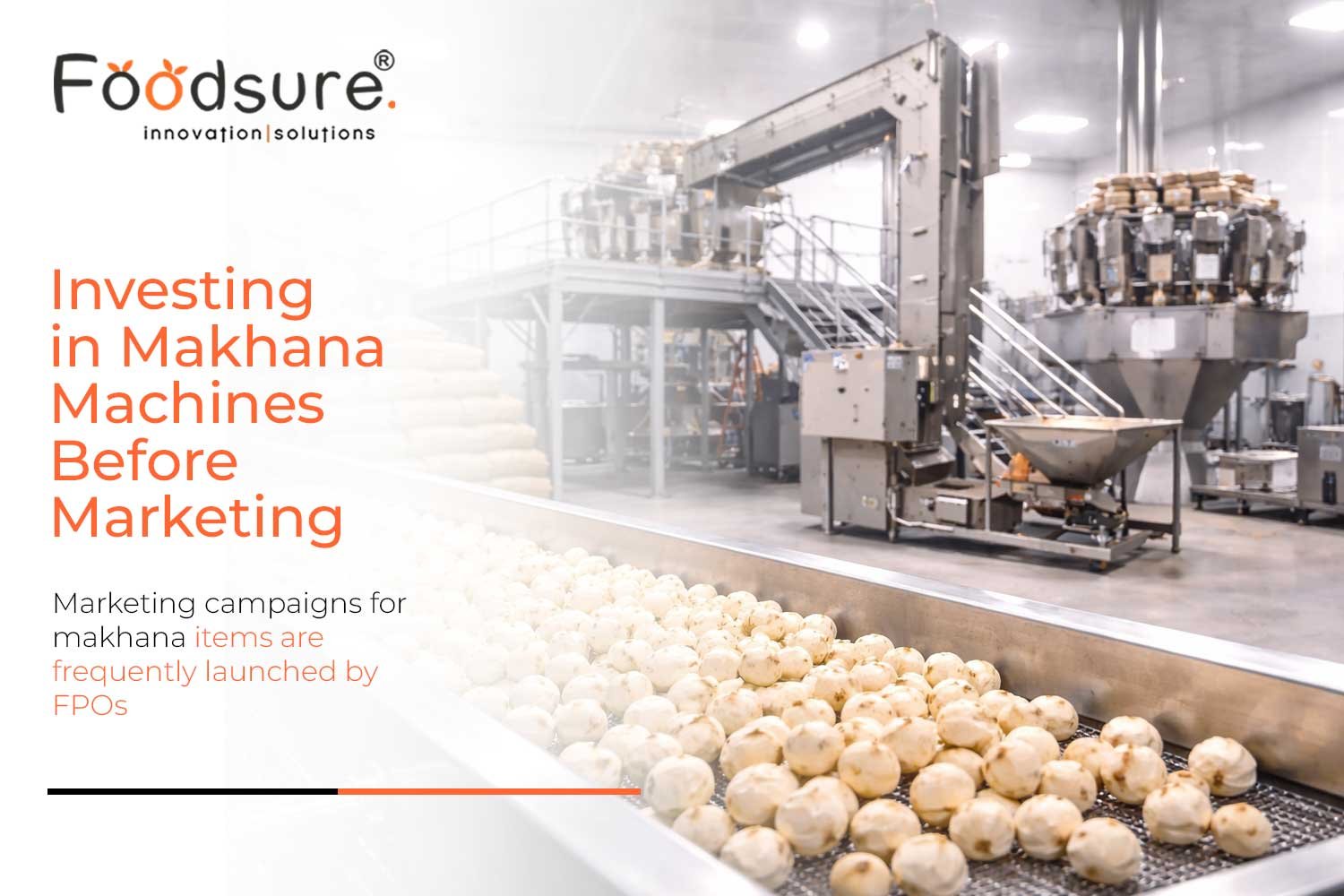 Why Successful Brands Invest in Makhana Machines Before Marketing