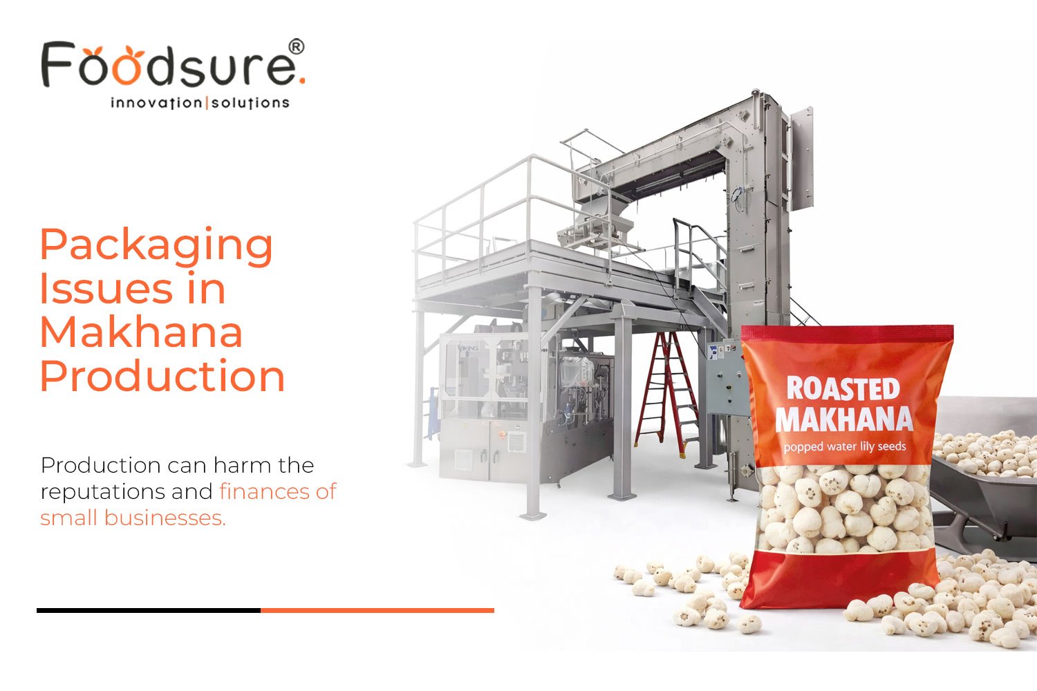 Packaging Issues in Makhana Production: Why Failures Start with Wrong Machine Integration