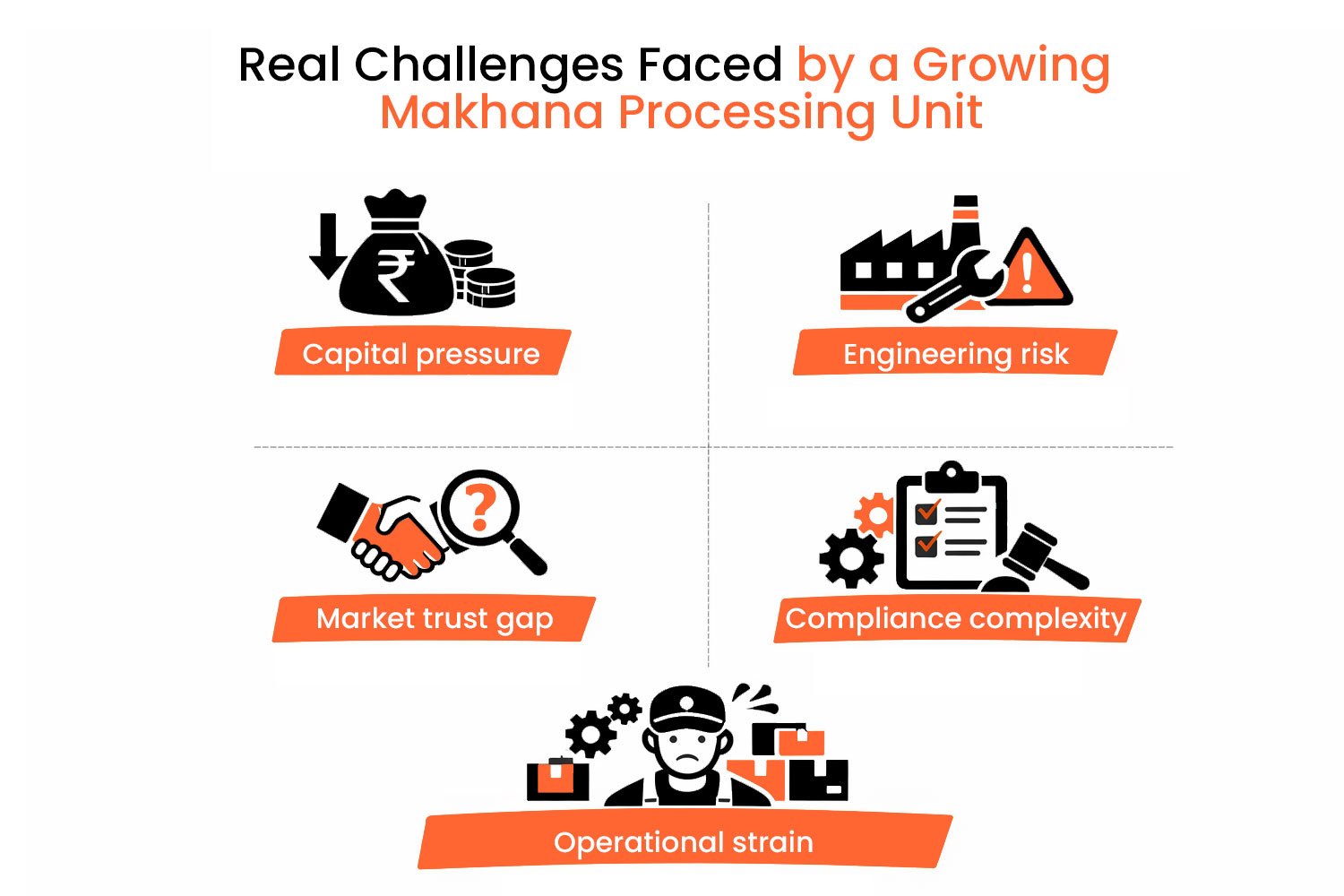 Real Challenges Faced by a Growing Makhana Processing Unit