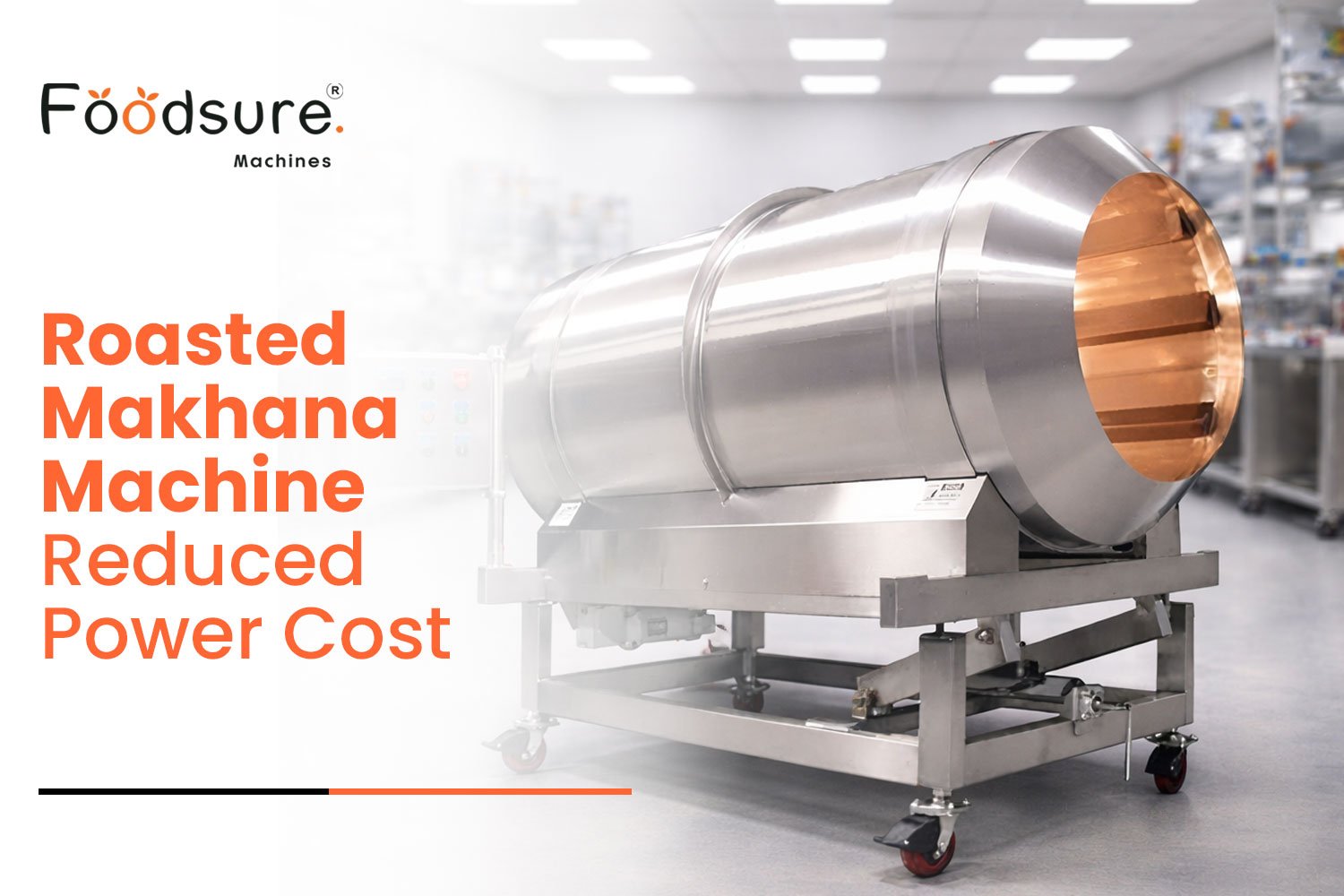 Roasted Makhana Machine Reduced Power Cost