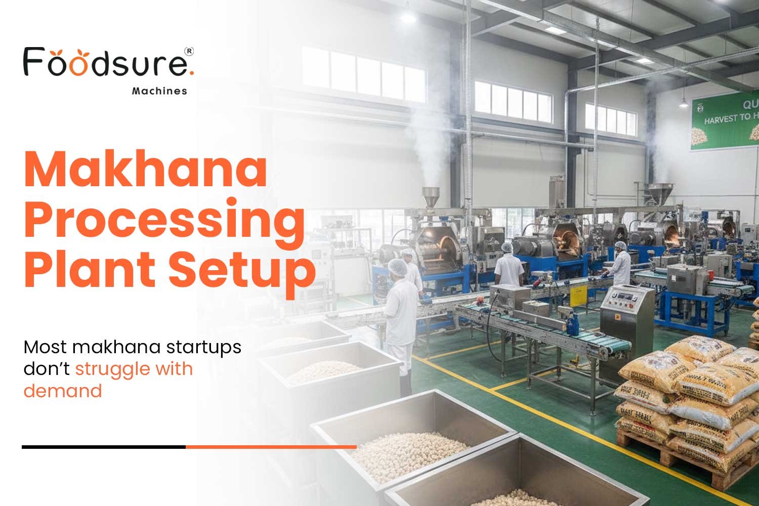 Batch vs Continuous Makhana Processing Line – Startup Case Study