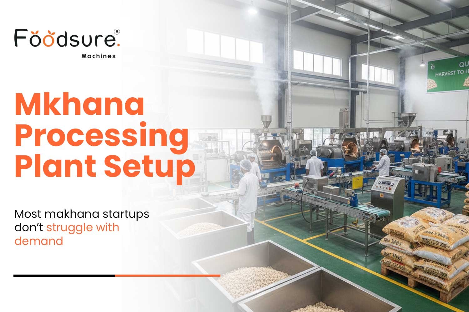 Batch vs Continuous Makhana Processing Line – Startup Case Study