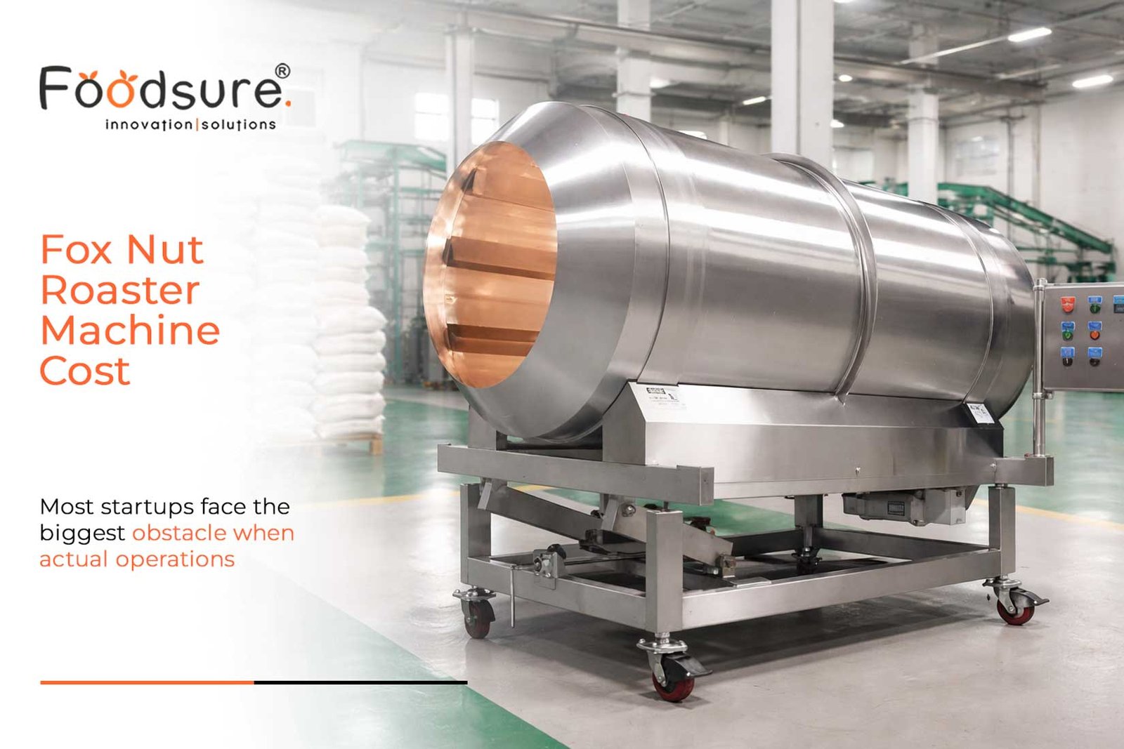 Complete Fox Nut Roaster Machine Cost Setup for Startups – Space, Output & Investment