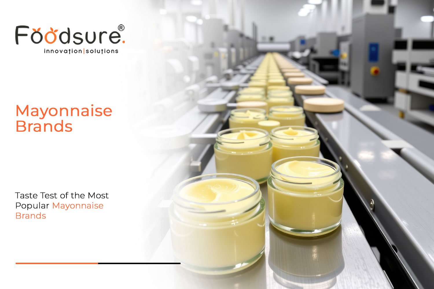 10 Best Mayonnaise Brands in the World (2026): Taste Test of the Most Popular Mayonnaise Brands