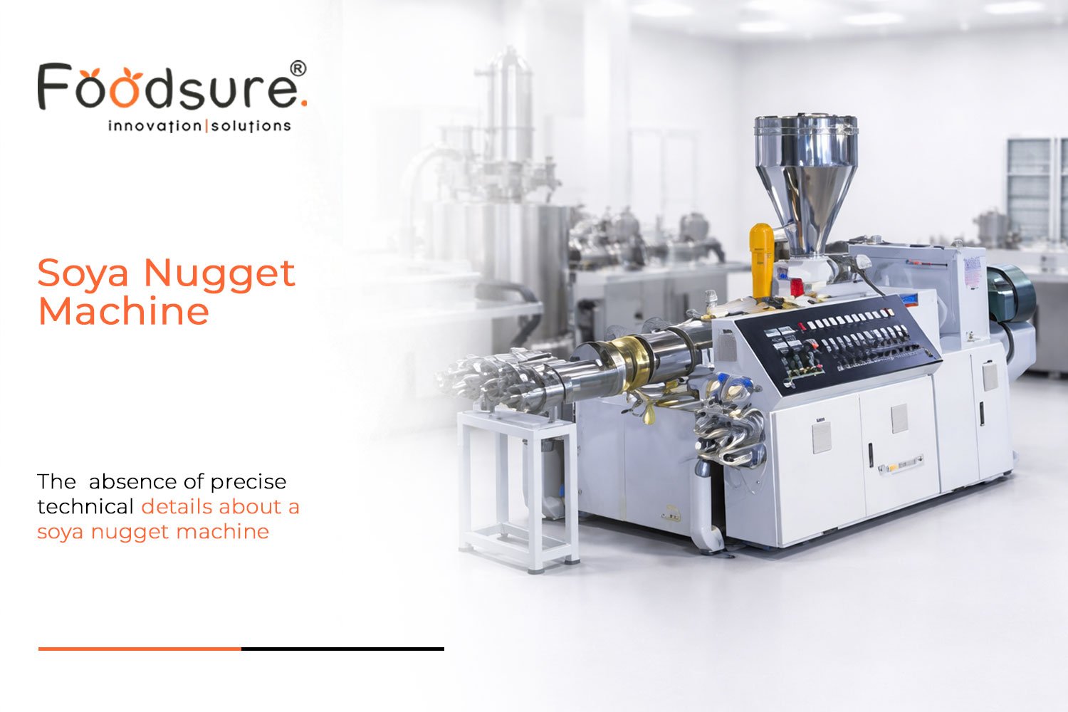 What is a Soya Nugget Machine & How It Works?