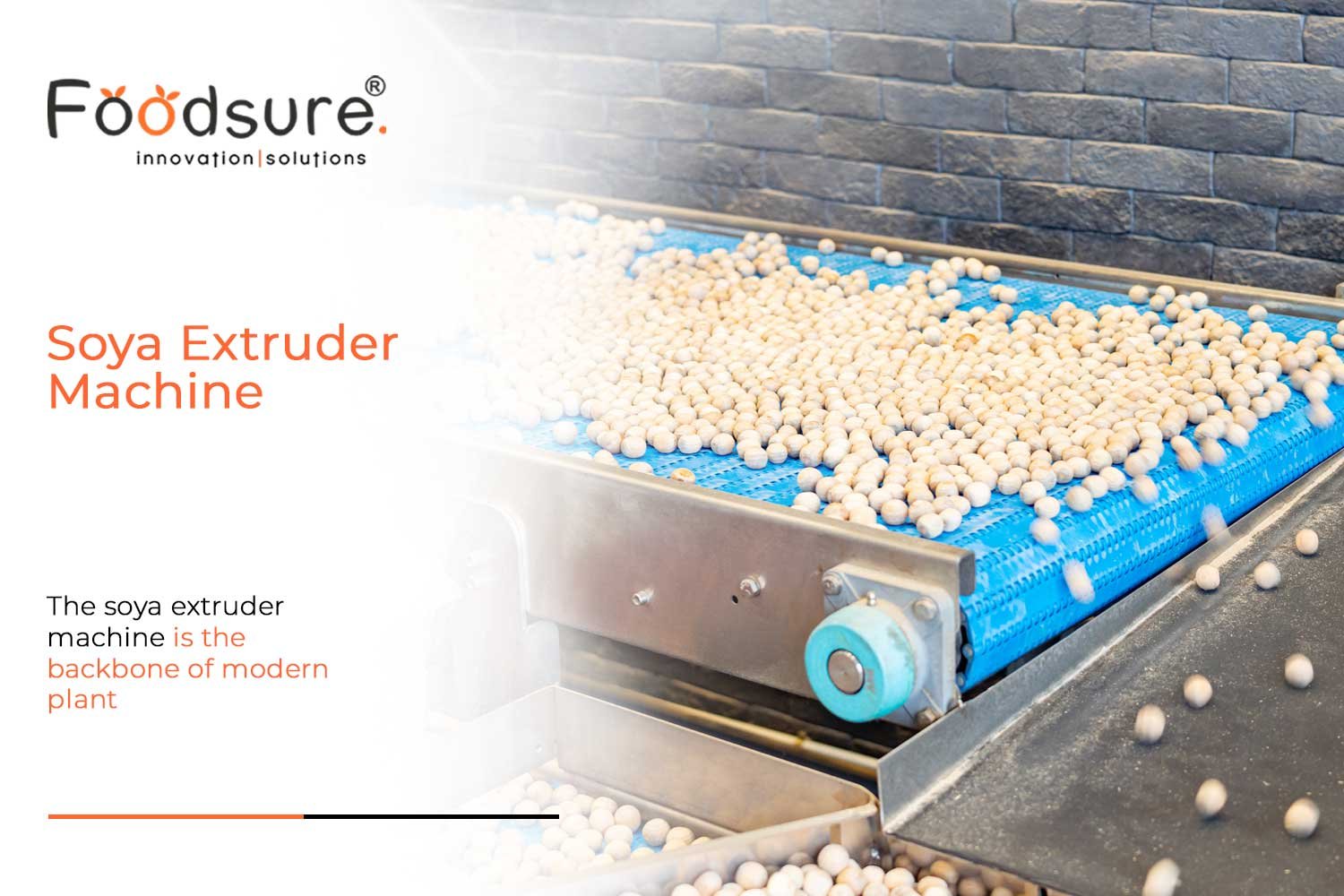 Soya Extruder Machine