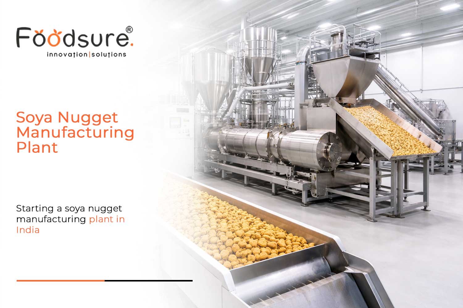 Soya Nugget Manufacturing Plant