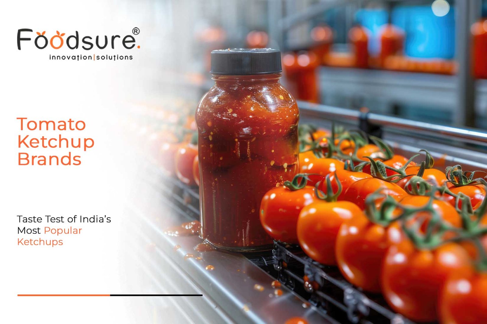 10 Best Tomato Ketchup Brands in India (2026): Taste Test of India’s Most Popular Ketchups