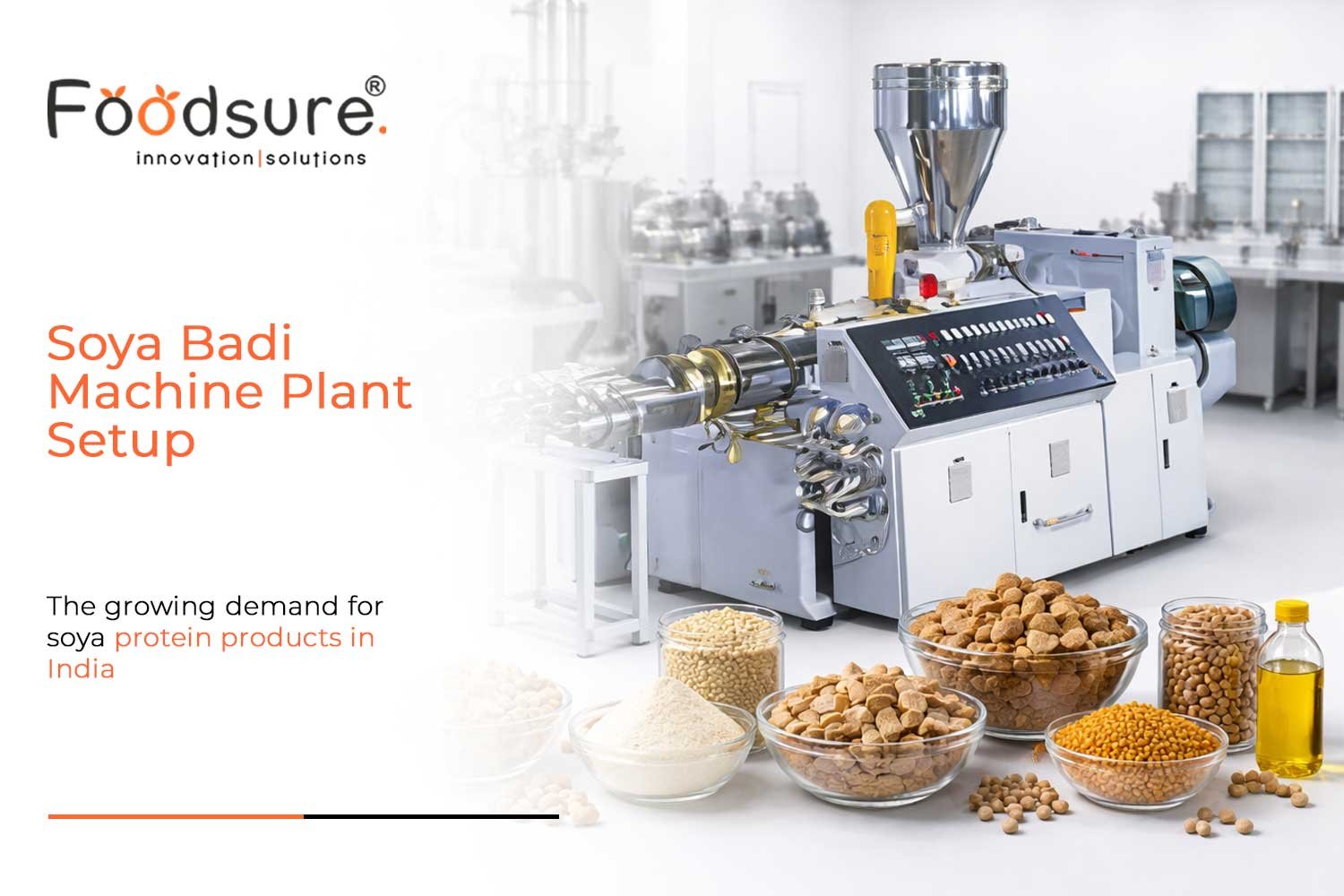 Complete Guide to Soya Badi Machine Plant Setup in India
