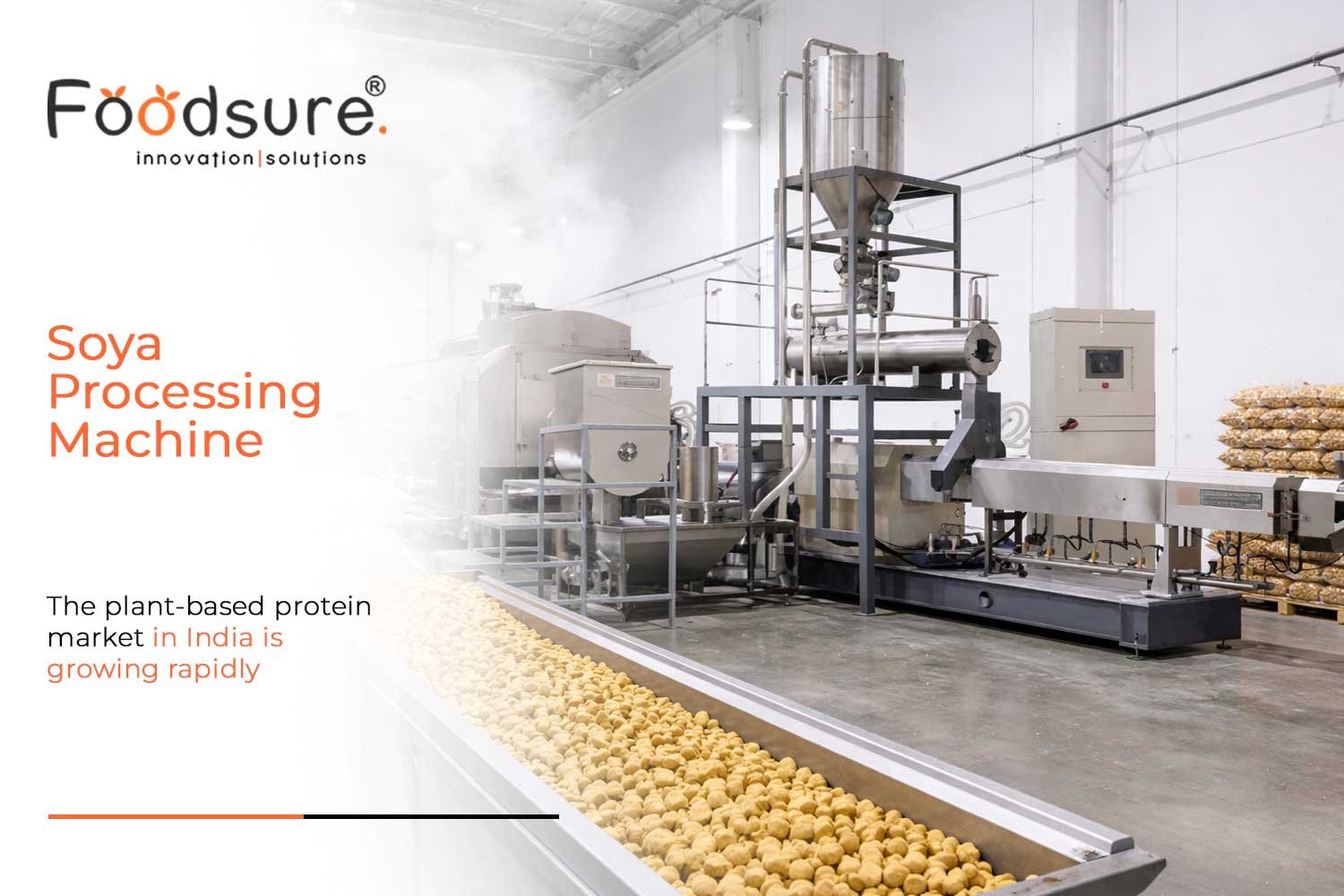 soya processing machine