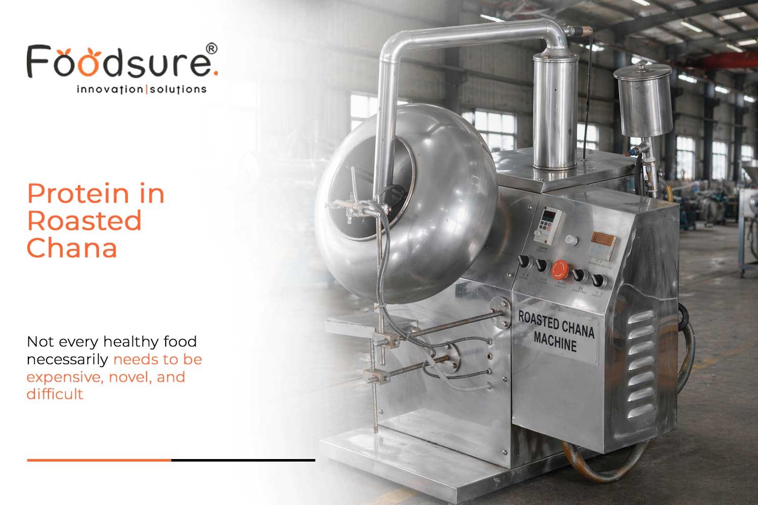 Protein in Roasted Chana