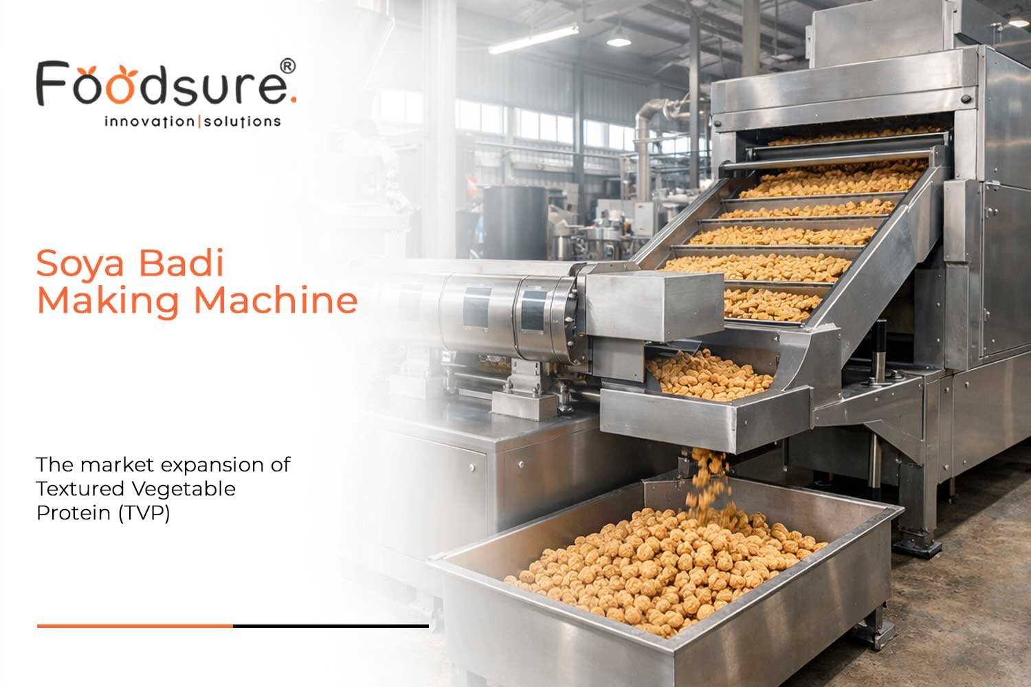 Soya Badi Making Machine