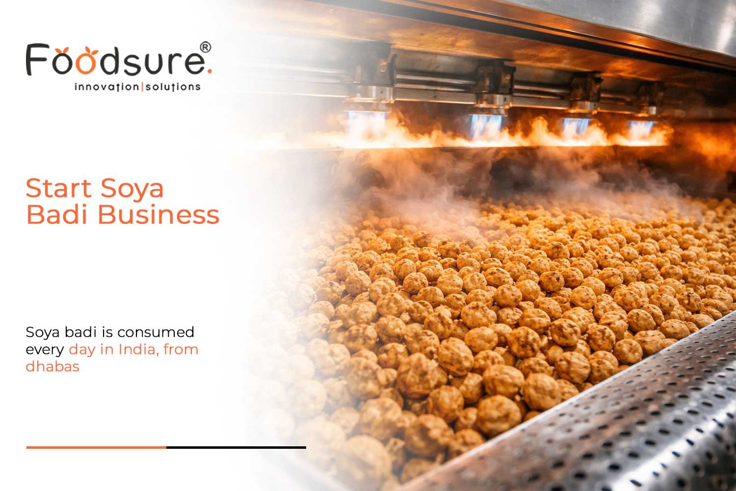 Start Soya Badi Business