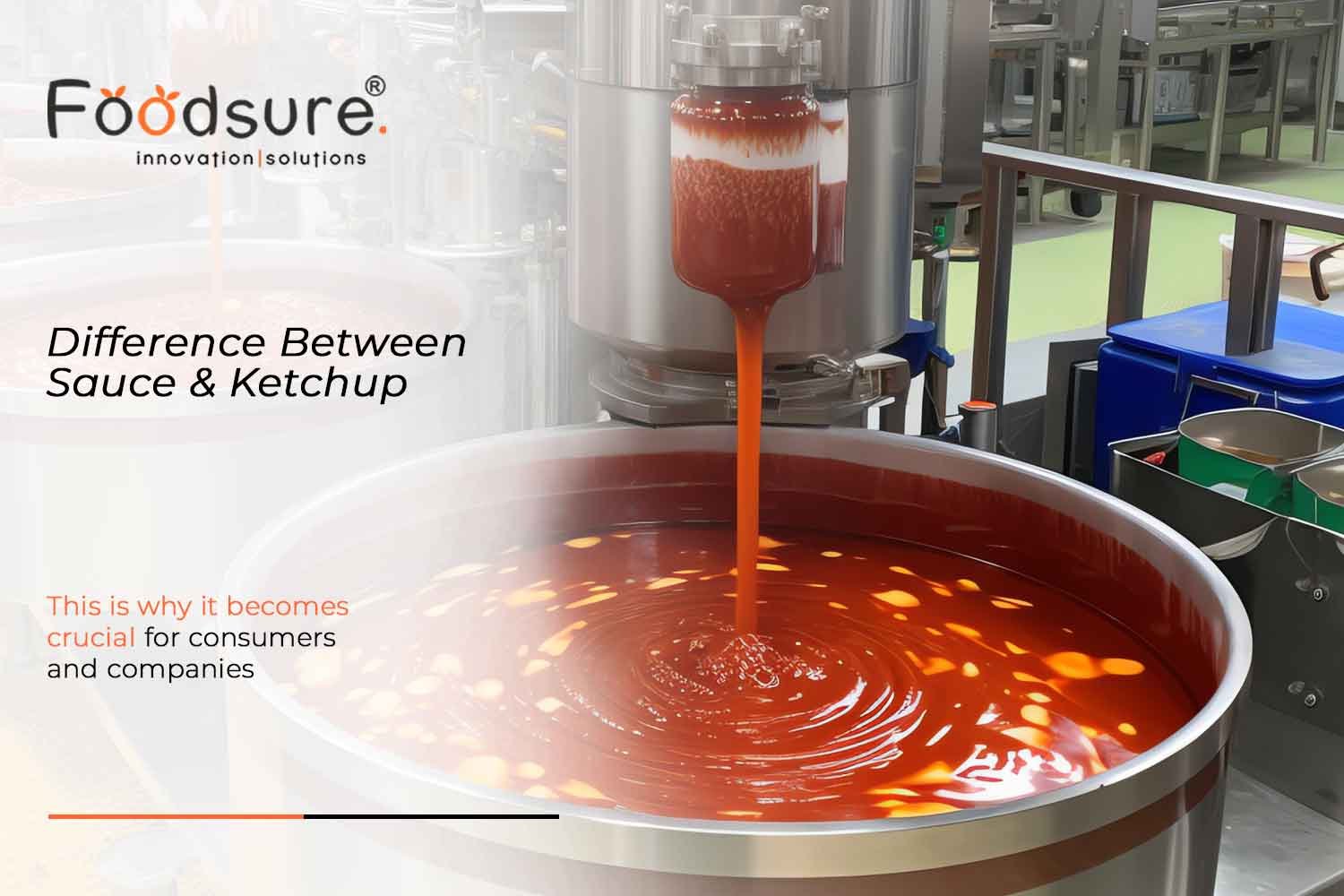 difference between sauce and ketchup