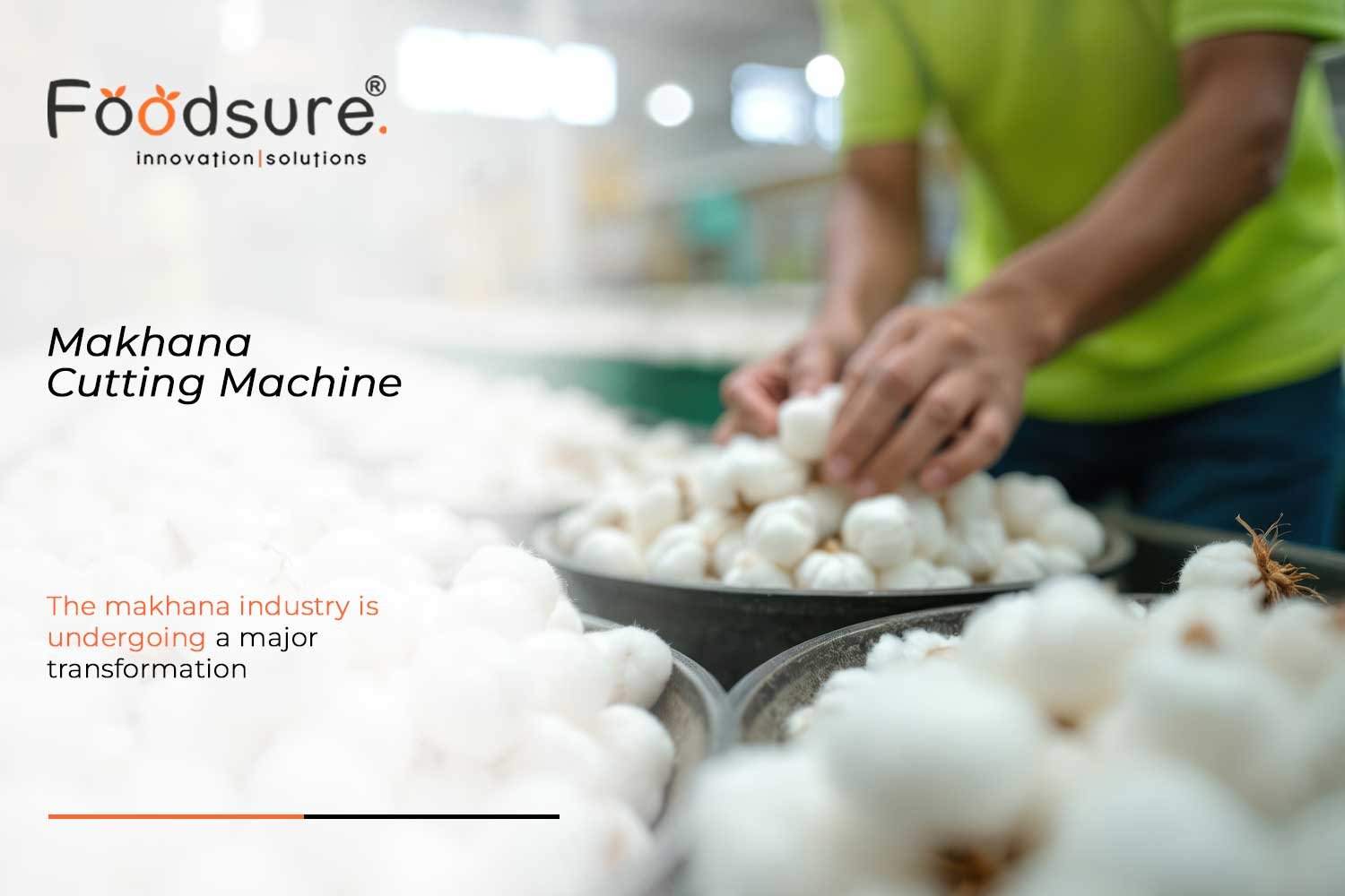 makhana cutting machine