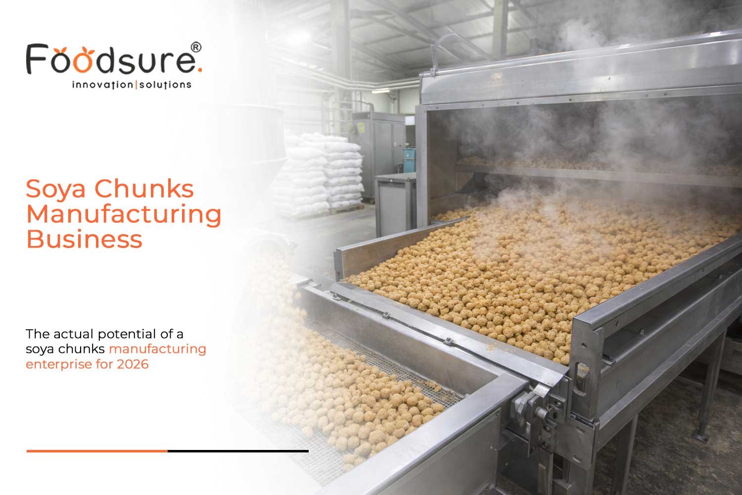 soya chunks manufacturing business