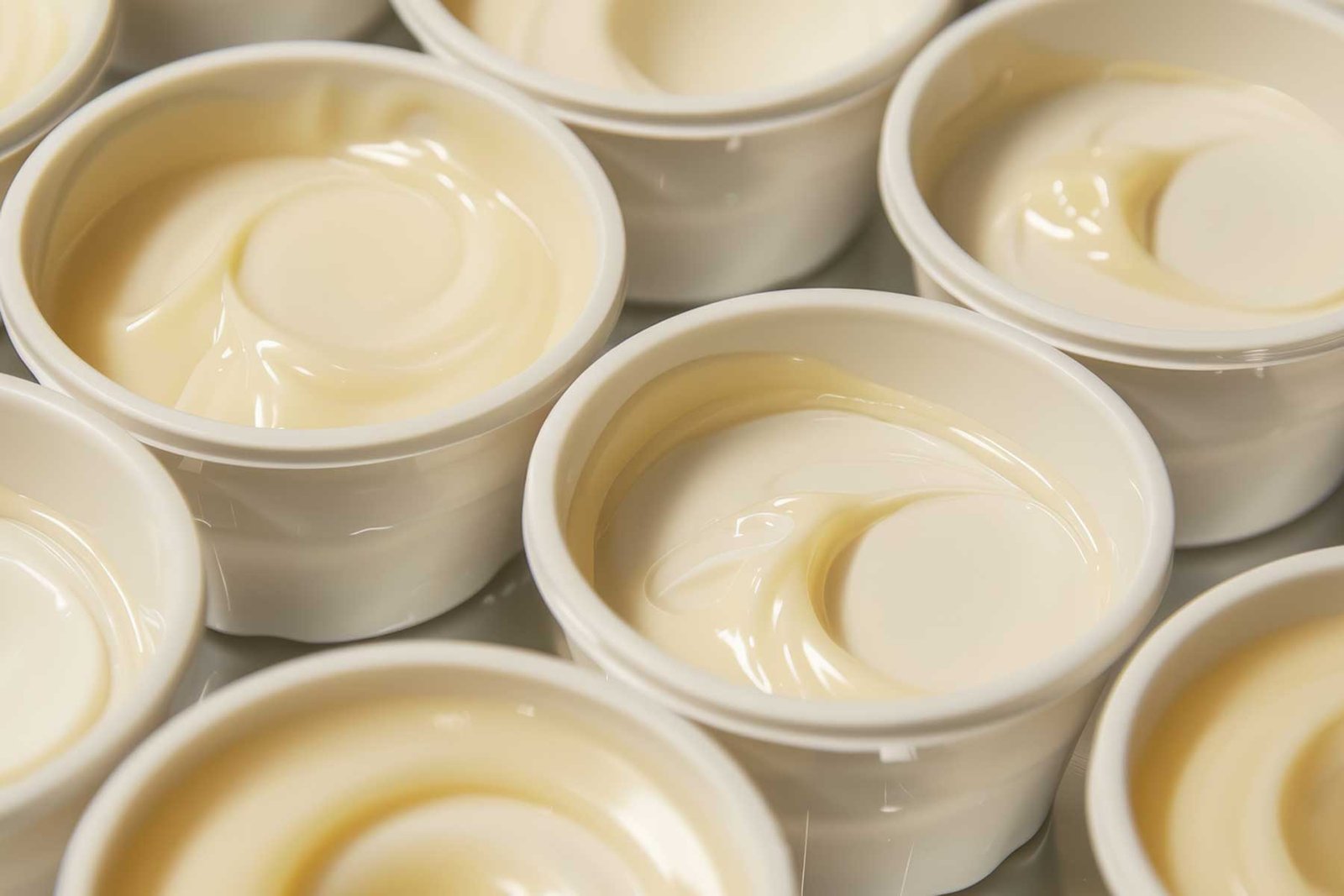 Nutritional Composition of Mayonnaise
