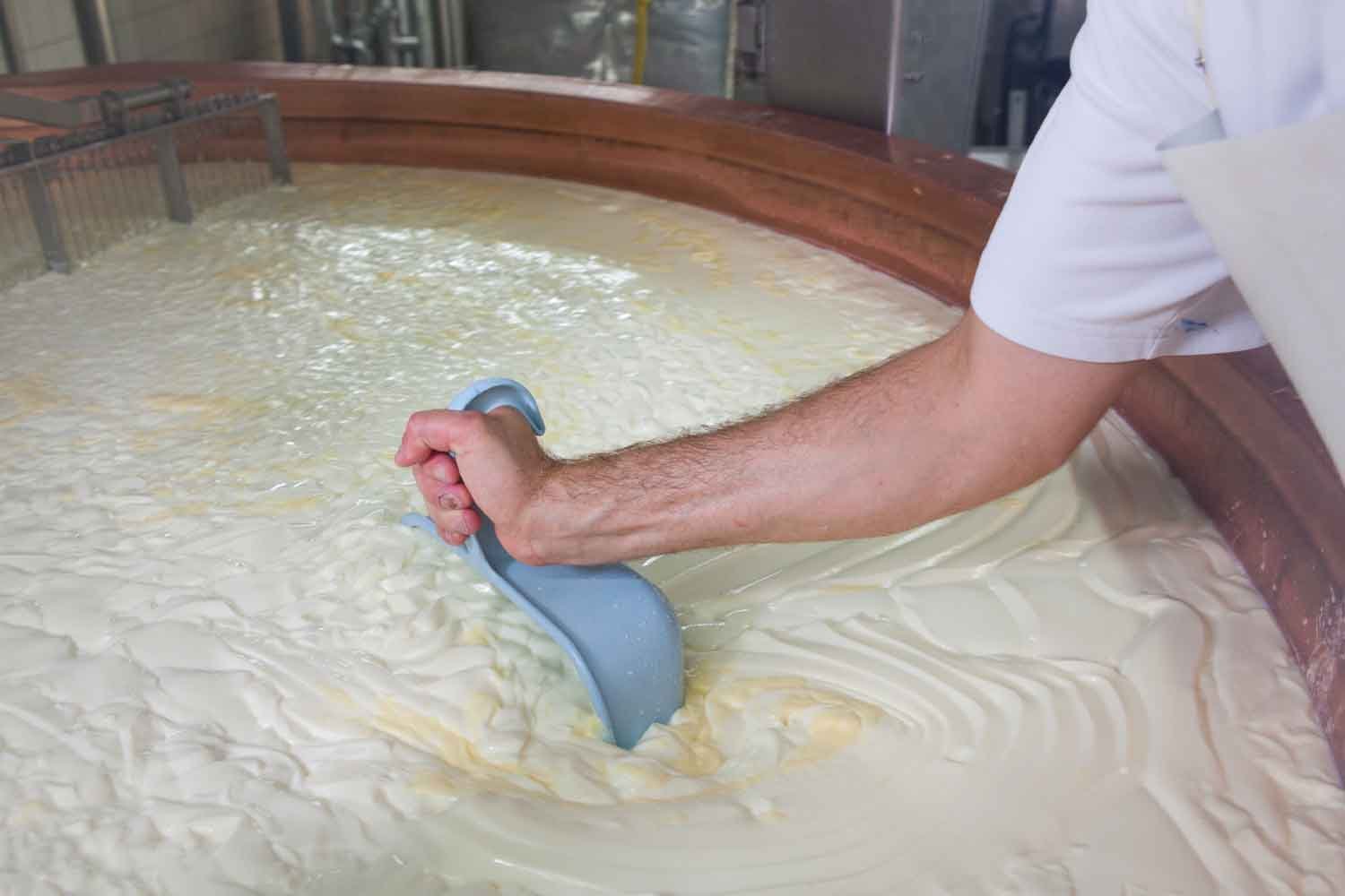 Mayonnaise Made Creamy