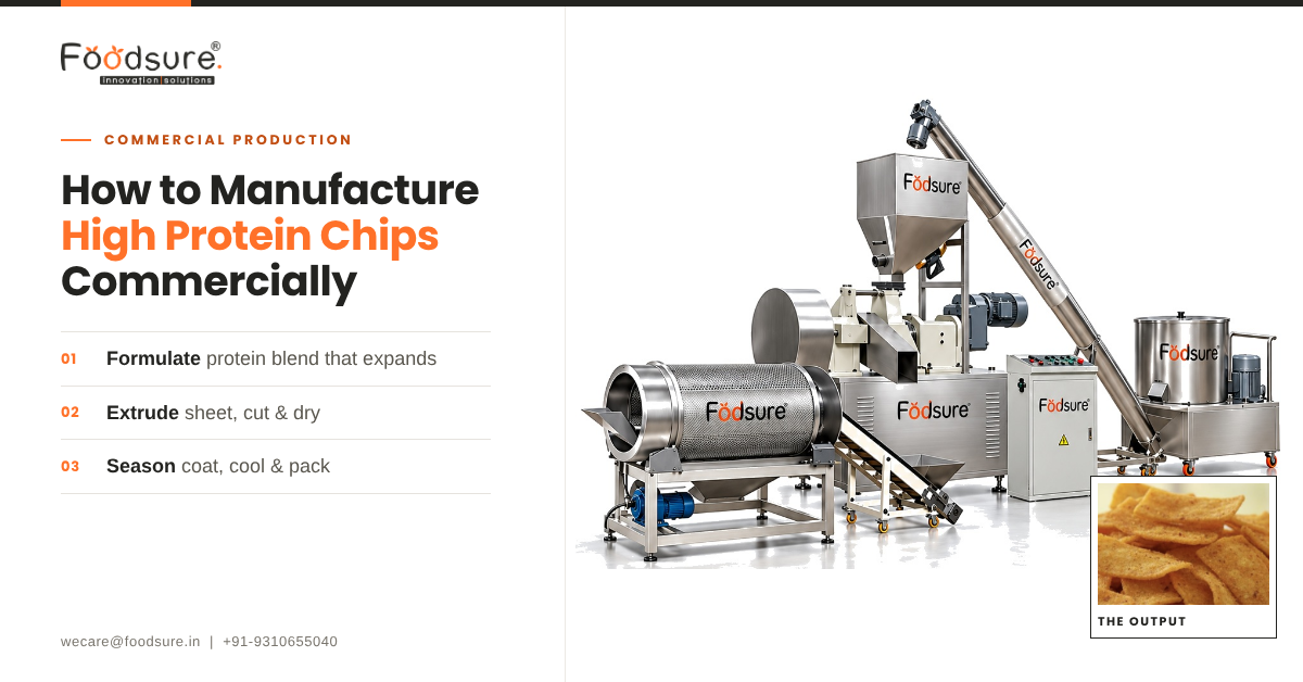Foodsure high protein chips manufacturing line – extruder, dryer and seasoning machine for commercial production