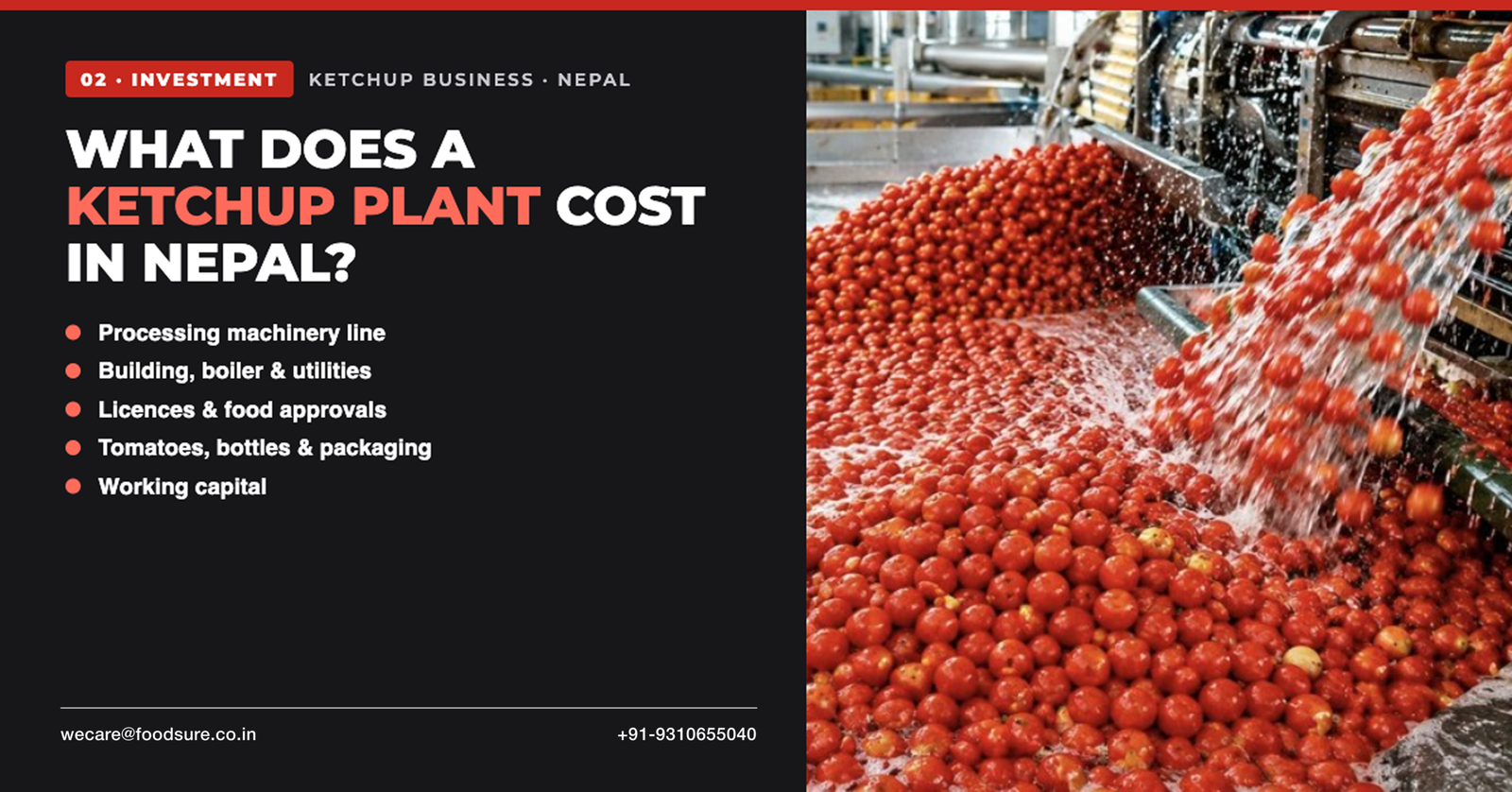 Tomato washing and processing – what does a ketchup plant cost in Nepal including machinery and setup