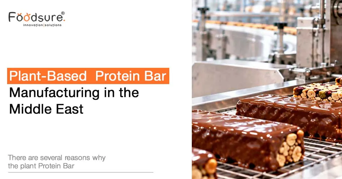 Plant-Based Protein Bar Manufacturing